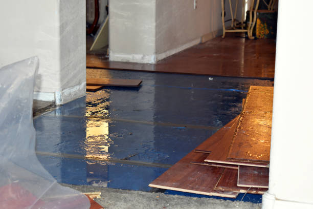 Professional Flood Cleanup technician working in Elkins, AR
